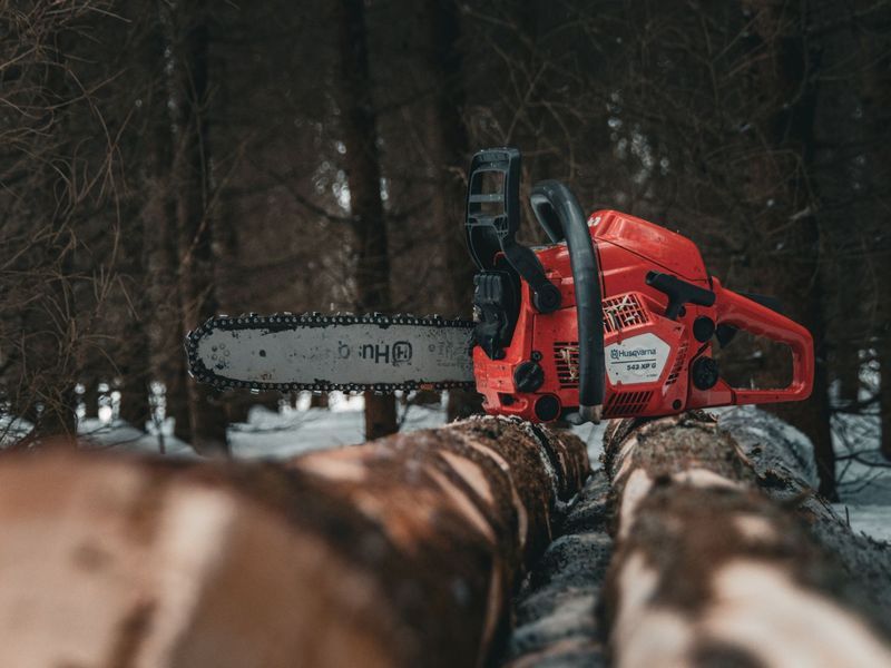 Tree removal project in Minneapolis, MN