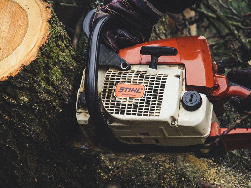 Tree removal job in the Nokomis neighborhood of Minneapolis