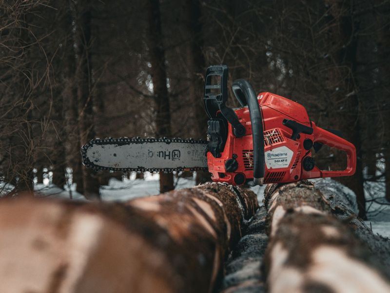 Tree removal job near St. Paul, MN