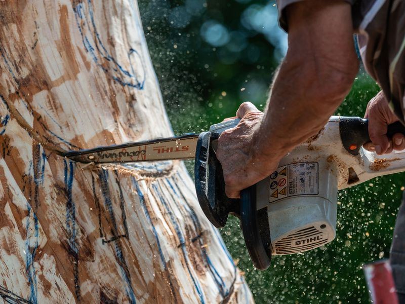 Tree removal job in the Whittier neighborhood of Minneapolis
